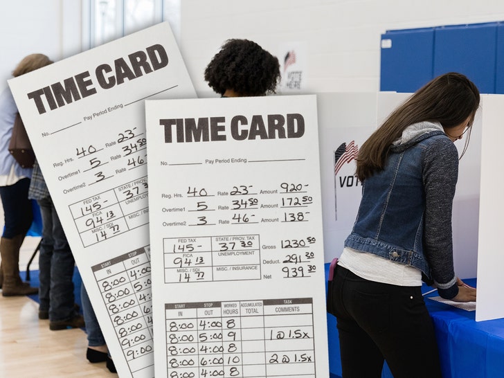 1102-paid-voting-fun-art-tmz-getty-02