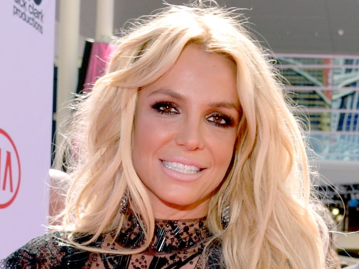 Britney Spears Vows To Never Perform Again Says Home Dancing Or Bust