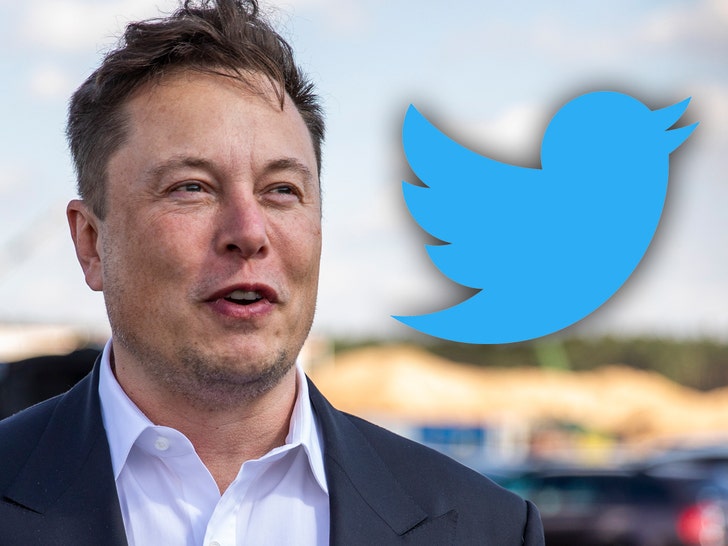 elon musk twitter