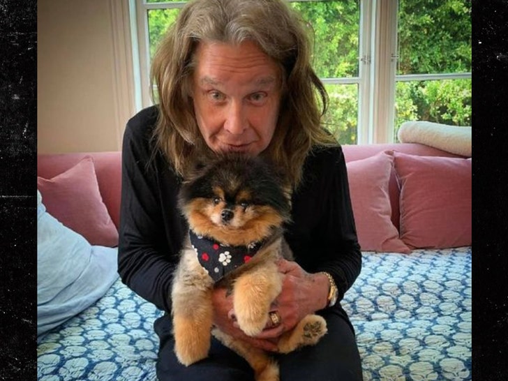 ozzy osbourne and puppy