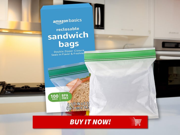 Amazon-Basics-Reclosable-Sandwich-Bags-MAIN