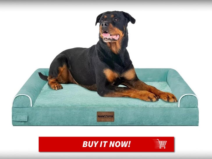 Large-Dog-Bed-Orthopedic-Washable-MAIN