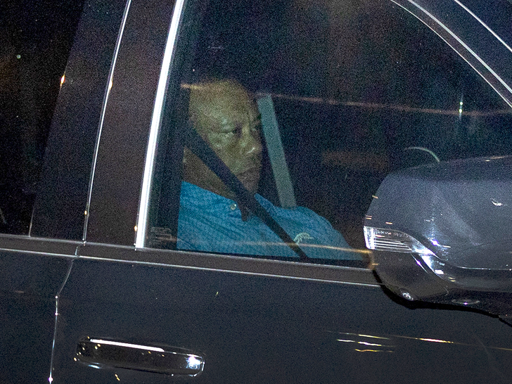 Floresta do Tigre Getty 2