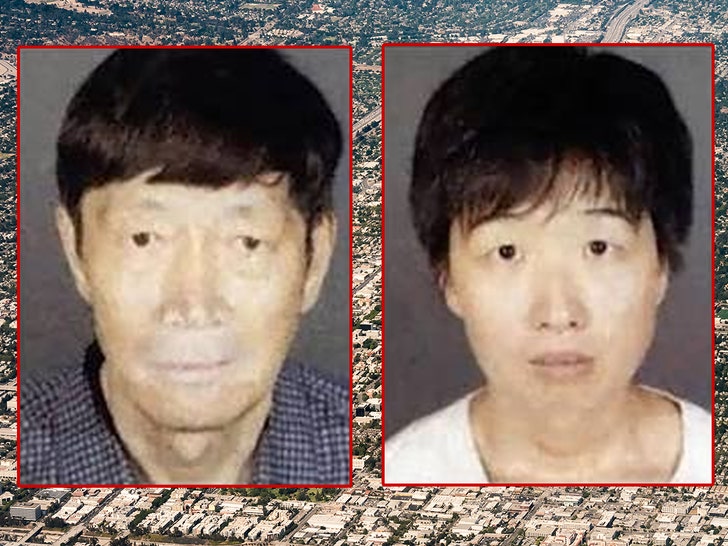 Silvia Zhang and Guojun Xuan arcadia