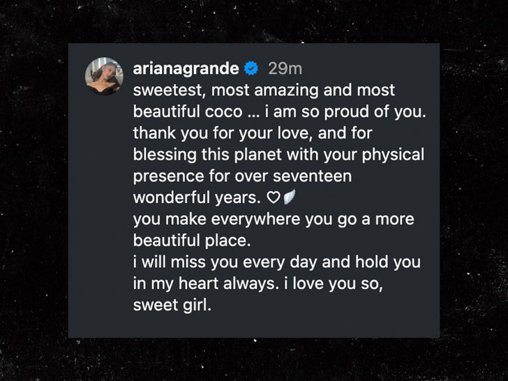 ariana grande dog died instagram