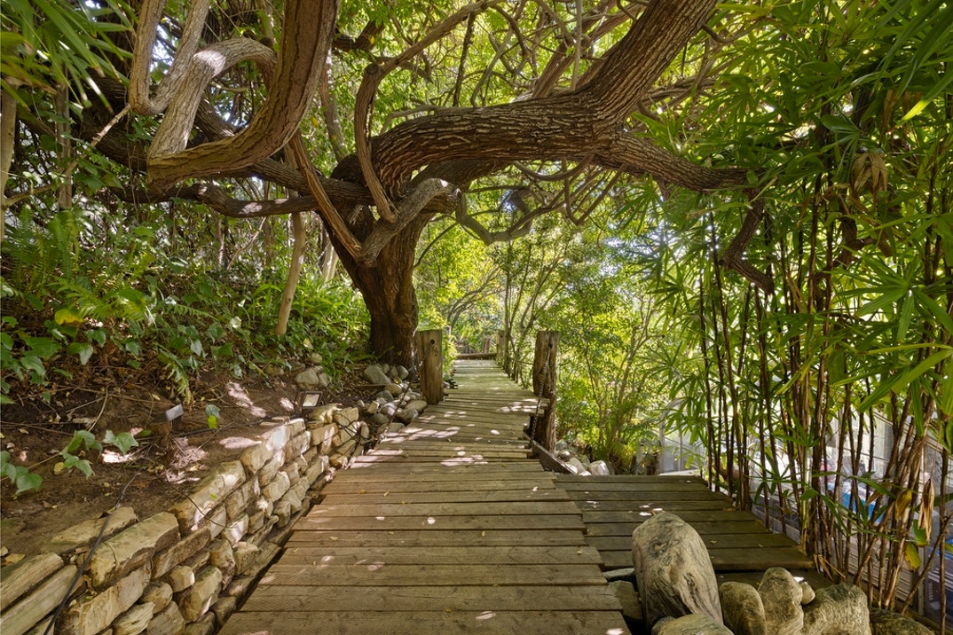 Jean Harlow Estate 34