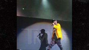 Big Sean's Stage Suffers $60,000 Washout (VIDEO)