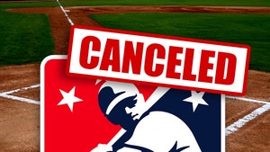 Minor League Baseball Season Canned Due To COVID-19, 'Sad Day For Many'