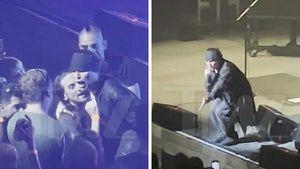 'The Cult' Singer Ian Astbury Breaks Up Fight at D.C. Concert