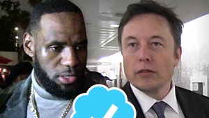 Twitter's New Paid Verified Check Causes Frenzy After Fake LeBron Trade Tweet