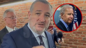 ted-cruz-primary-05-19-2026