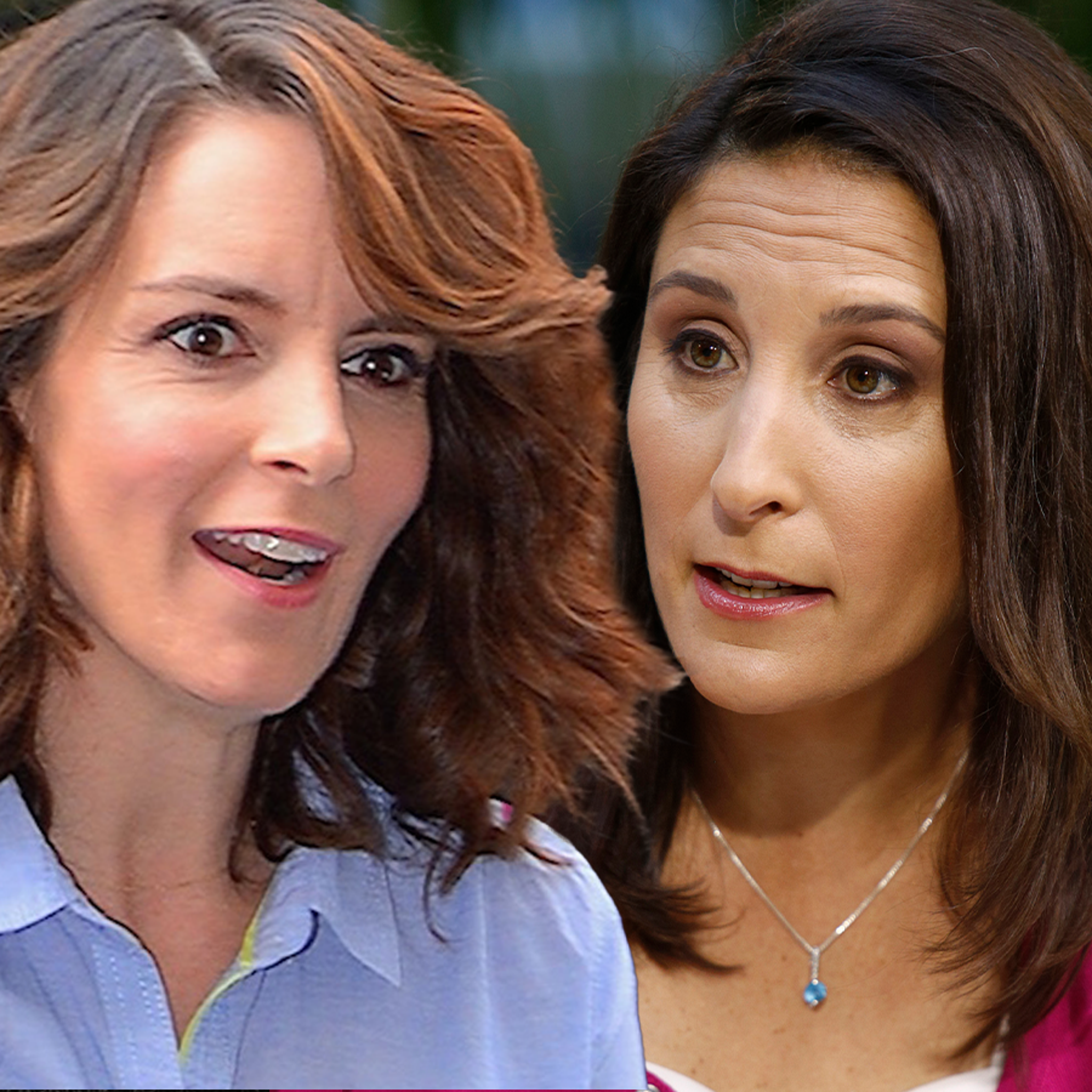 'Mean Girls' Author Slams Tina Fey, Threatens Paramount with Legal Action - TMZ (Picture 2)