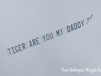 0620_tiger_woods_banner