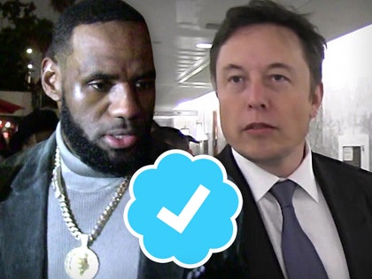 elon musk lebron james