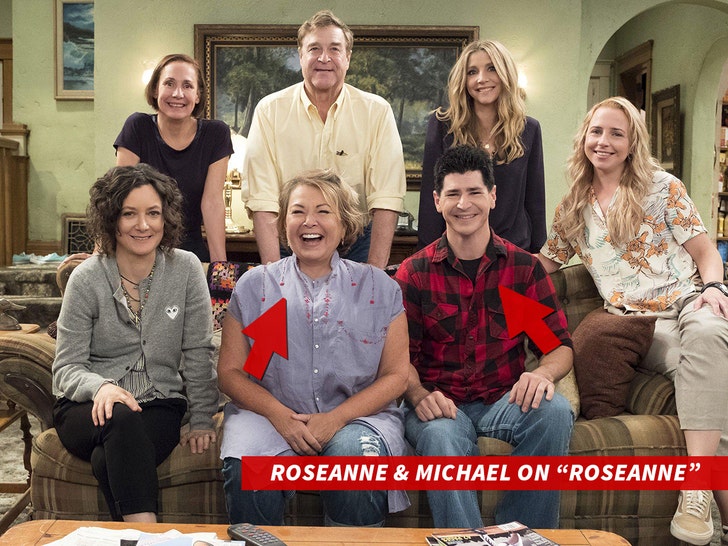 sub-roseanne-barr-michael-fishman-alamy-1