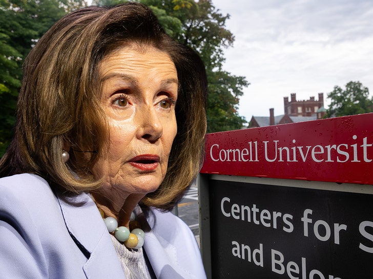 nancy pelosi cornell getty 1