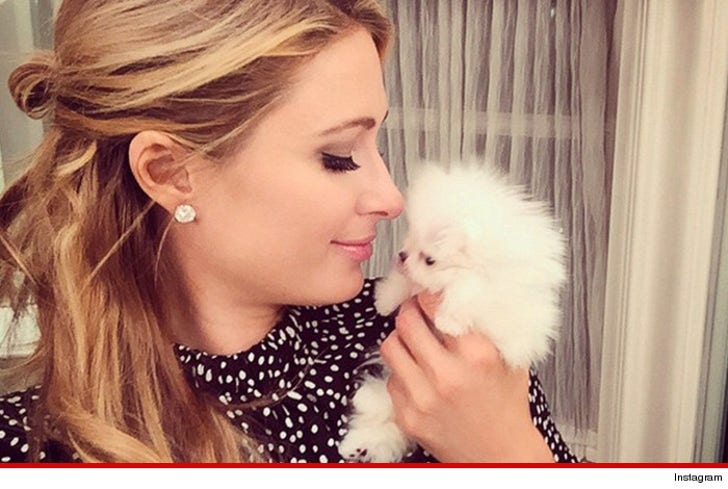 Paris Hilton -- Drops $25K for One Pound of Dog
