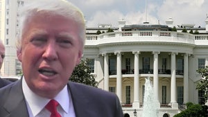 White House Residence Staff 'Walking on Eggshells' Afraid of Angering Trump