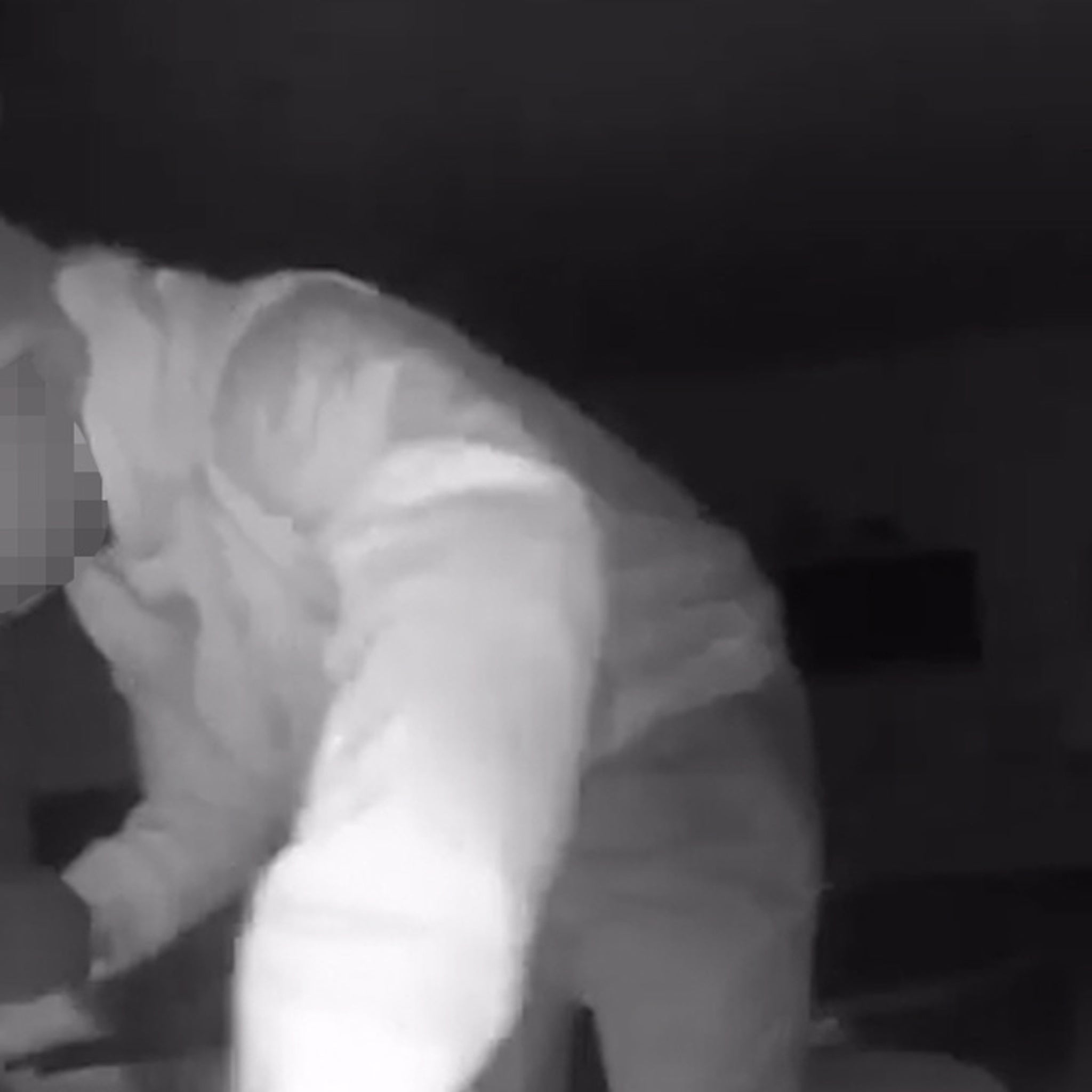 Ex-NFL linebacker has Super Bowl ring stolen, shares video of thieves in  house