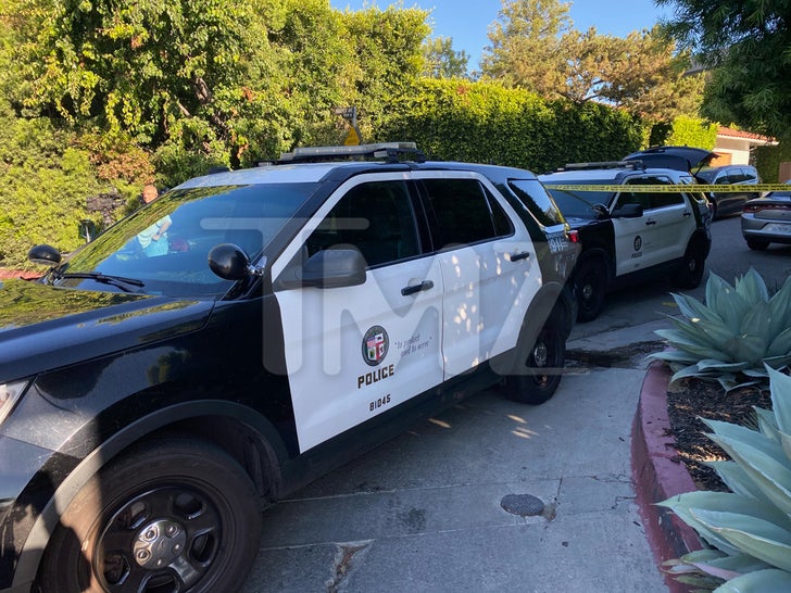 Hollywood Hills Shooting -- Police On The Scene