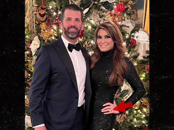 Donald Trump Jr. & Kimberly Guilfoyle Engaged, Have Been for a Year.jpg