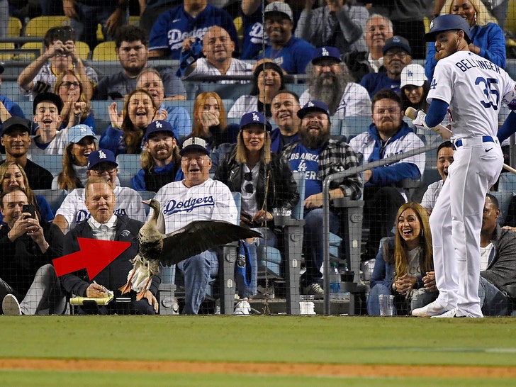 goose at dodgers game