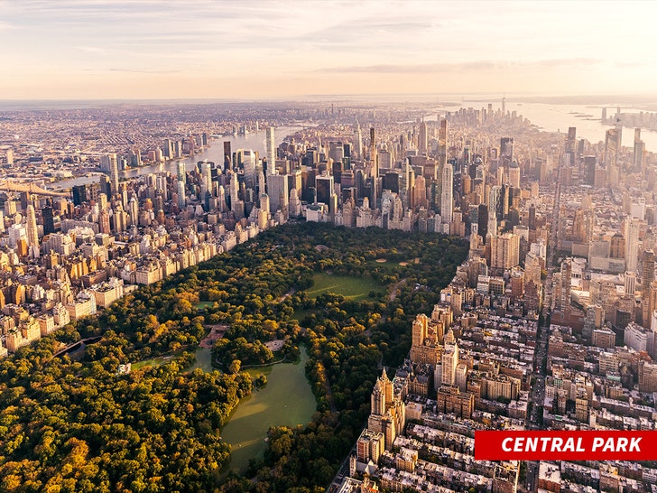 brian thompsons shooter central park