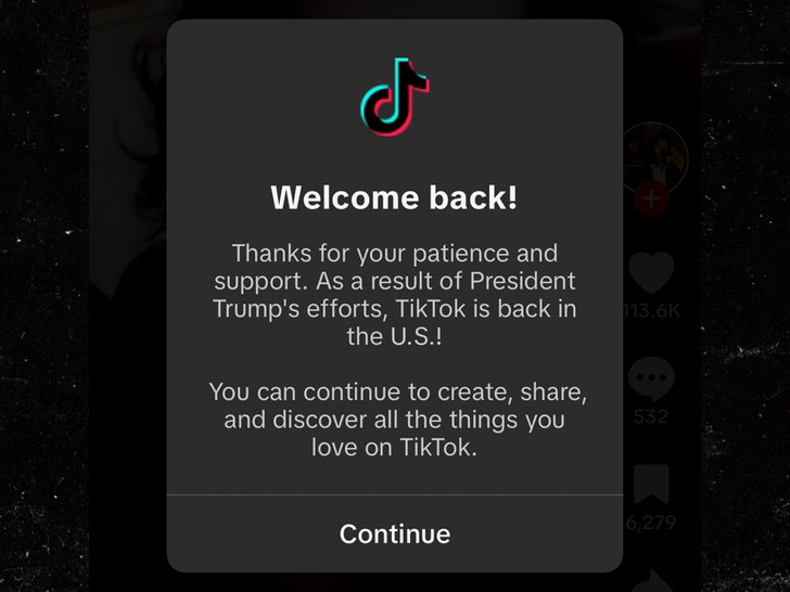 tiktok returns