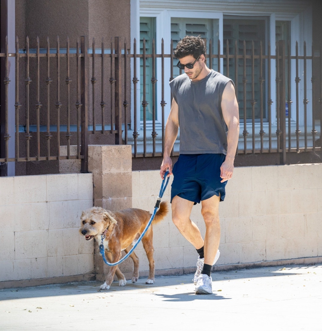 FranCois Arnaud Dog Walk 8