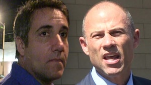 Michael Cohen Asks Judge to Muzzle Stormy Daniels' Lawyer Michael Avenatti
