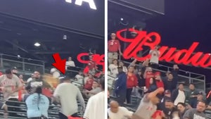7 Arrested After Wild Brawl At L.A. Angels Game, Woman Suffers Injury