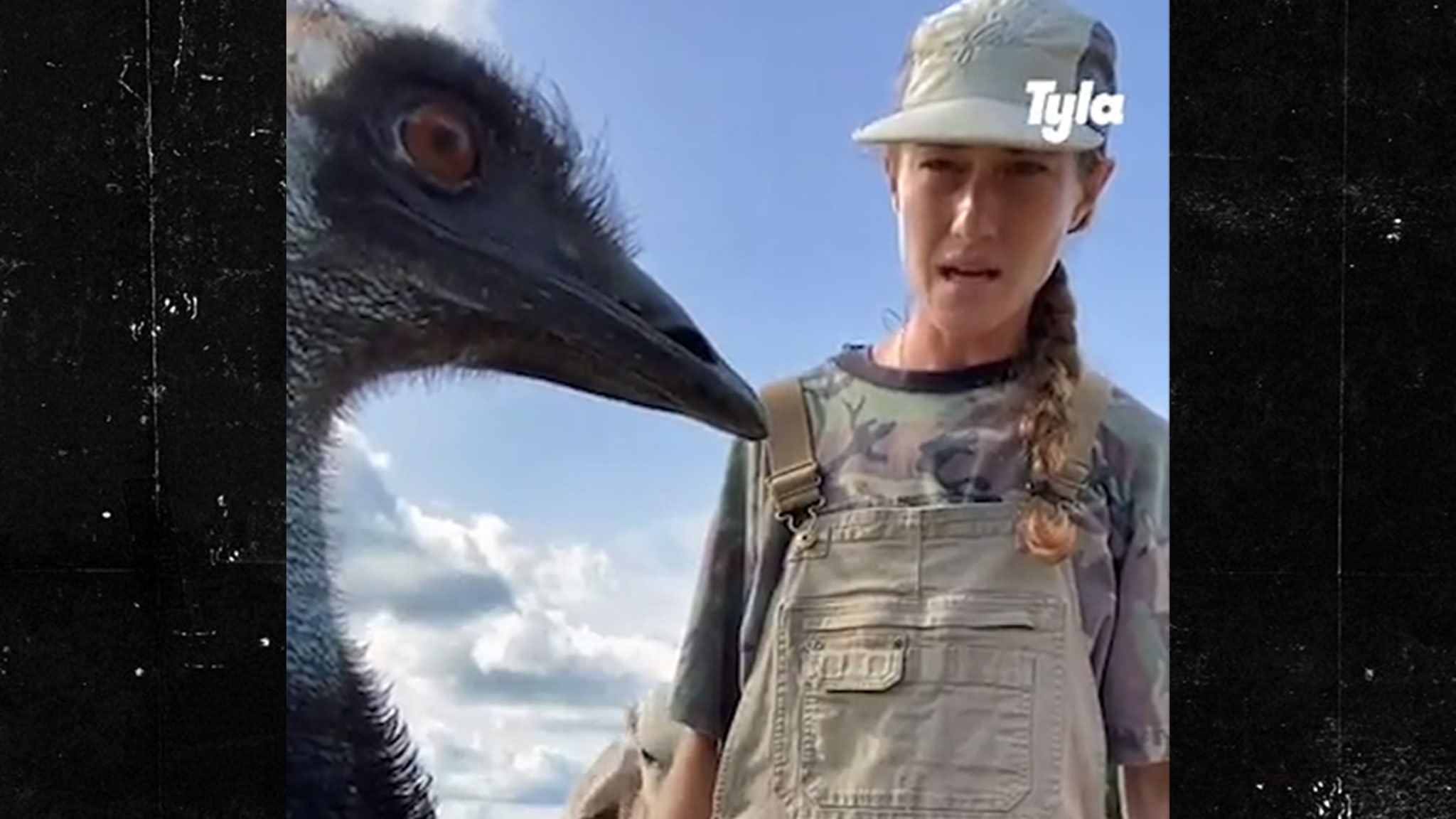 Emmanuel Emu chory po dzikich gęsi, ptasia grypa atakuje farmę na Florydzie