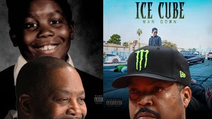 1122 killer mike michael ice cube man down getty comp 2