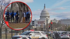 apitol building arrest washington dc main ABC7 News.