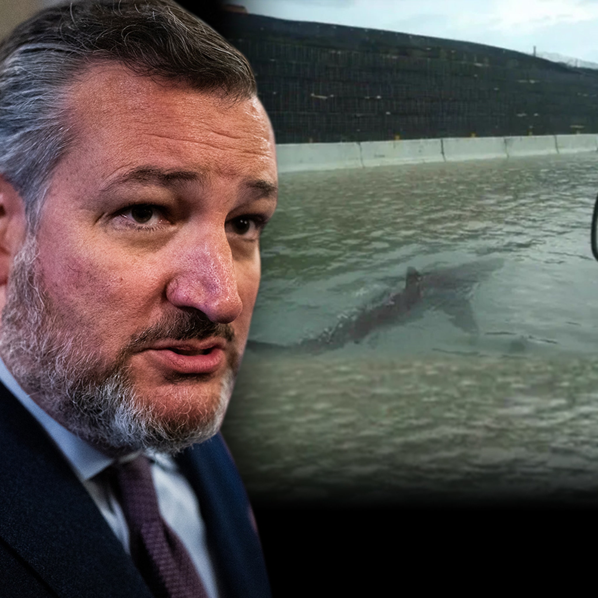 Sen. Ted Cruz Believed Sharks Were Swimming L.A. Streets During