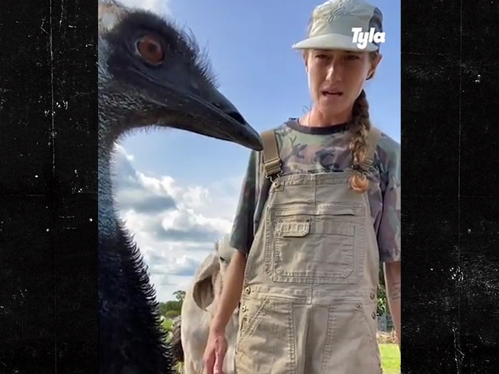 Emmanuel the Emu