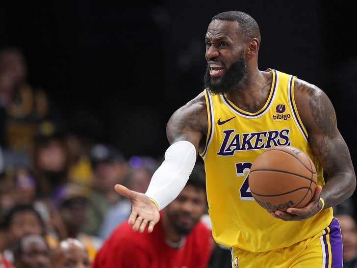 LeBron James on the Lakers