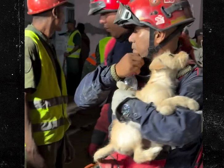 062526 earthquake puppy rescue SG3