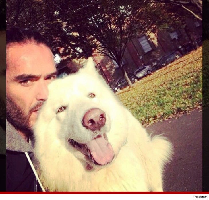 Celebrity Dogs Living Better Than You On National Puppy Day :: 0323-puppy-pic-15