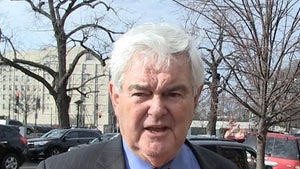 Newt Gingrich Says CNN Reporter Was an Idiot (VIDEO)