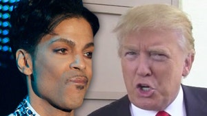 Prince Estate Demands Donald Trump to Stop Playing 'Purple Rain' at Rallies