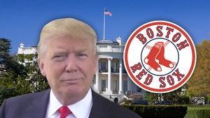 Donald Trump Takes Credit For Red Sox Wins, White House Visit Magic!