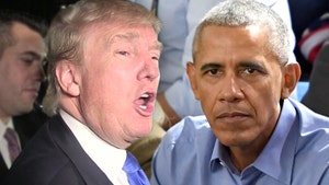 Donald Trump Cosigns on Criticism Obama Got Pass on Mass Shootings