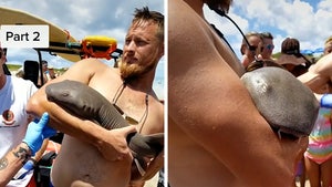 Baby Shark Bites Man's Arm, Latches on Even After He Gets Out of Water