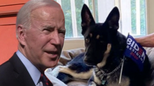 White House Downplayed Dog Bites Involving Major, Secret Service Pissed