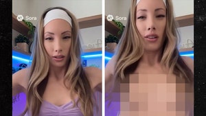 avori-strib-primary-10-17-2025