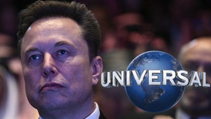 elon musk universal getty