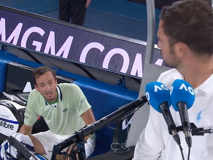 Daniil Medvedev Blows Up On Umpire At Australian Open, 'Are You Stupid?'.jpg