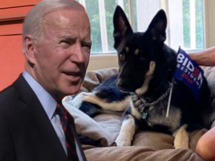 joe biden and major 