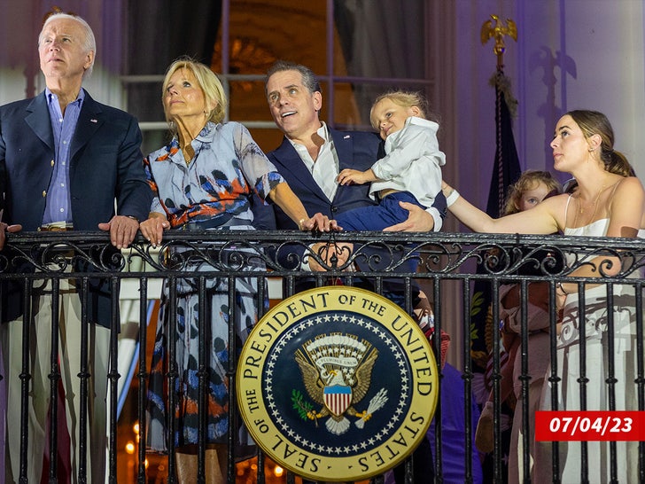 Joe Biden family descendants